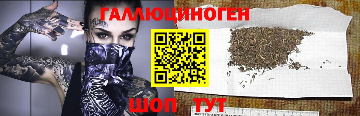 Псилоцибиновые грибы Psilocybe  Вход с VPN  Псилоцибиновые грибы MAGIC MUSHROOMS  купить  сайты  Белово 