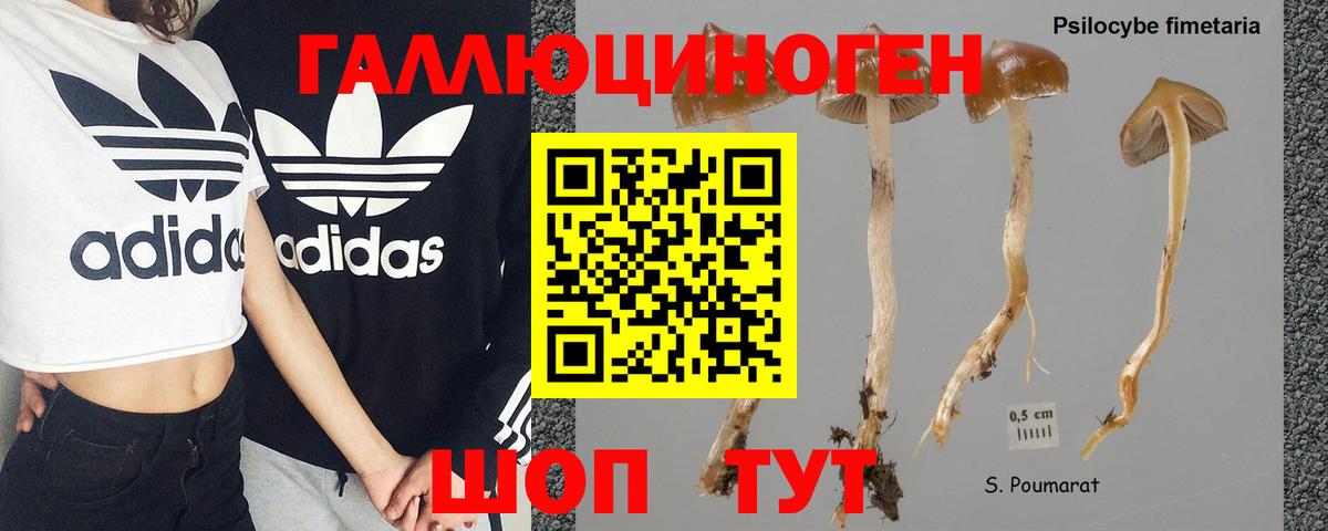 Псилоцибиновые грибы ЛСД Белово